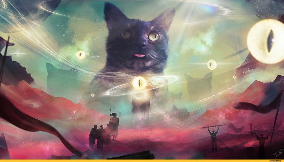 Коты арты