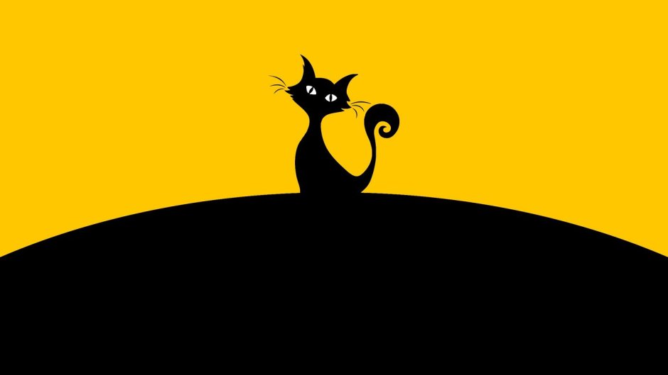 Кошка Минимализм