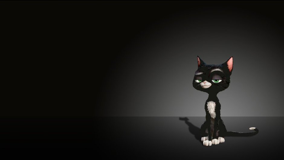Котенок на черном фоне