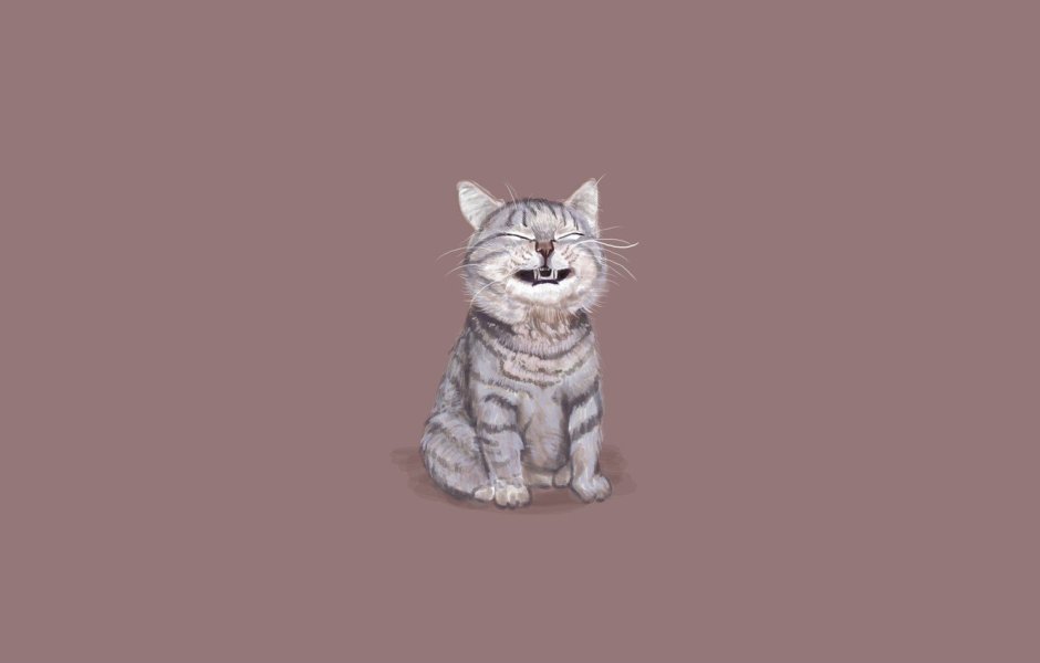 Кот Минимализм рисунок