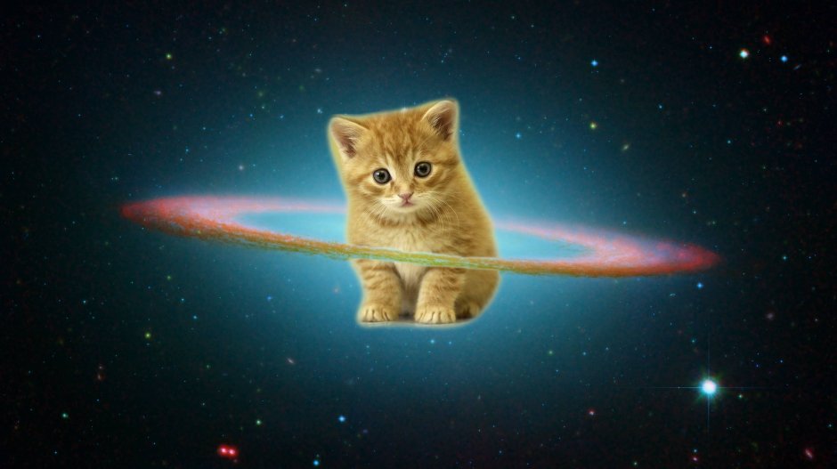 Космический котик