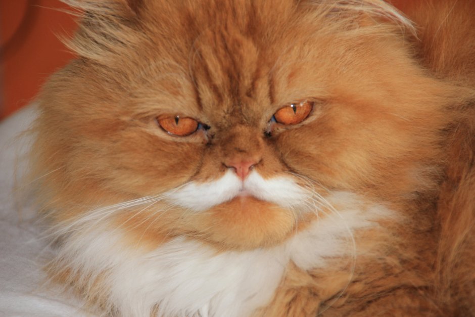 Атчум (Чихун)