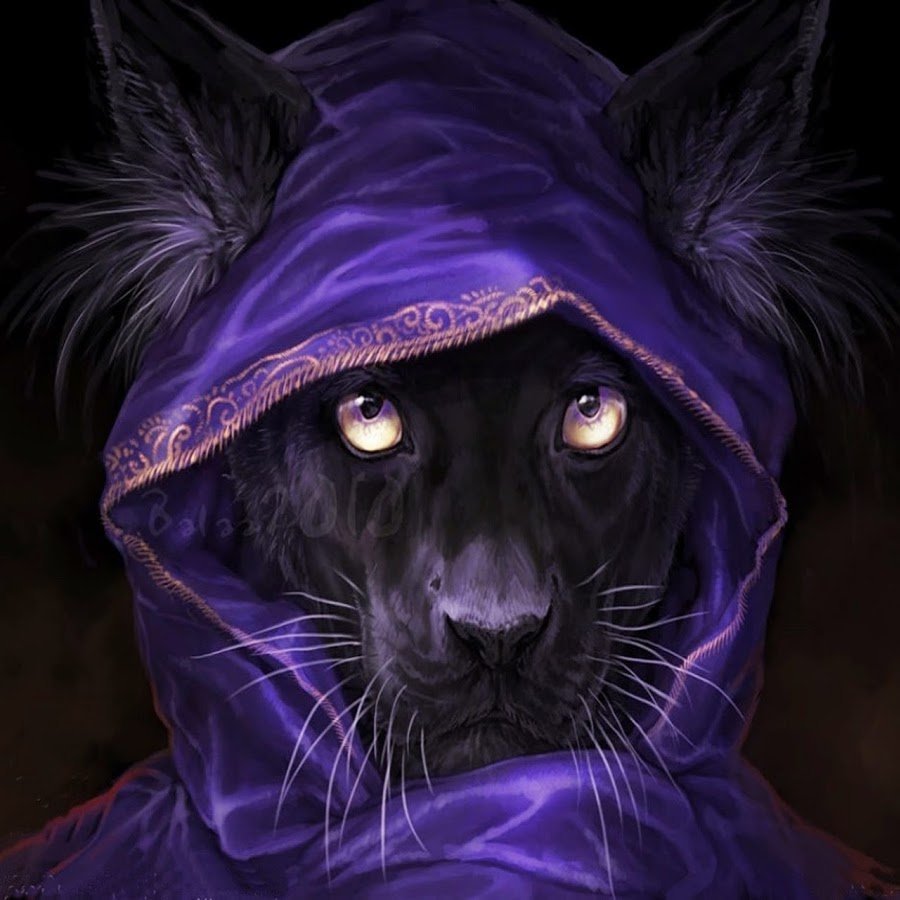 Ферал пантеры