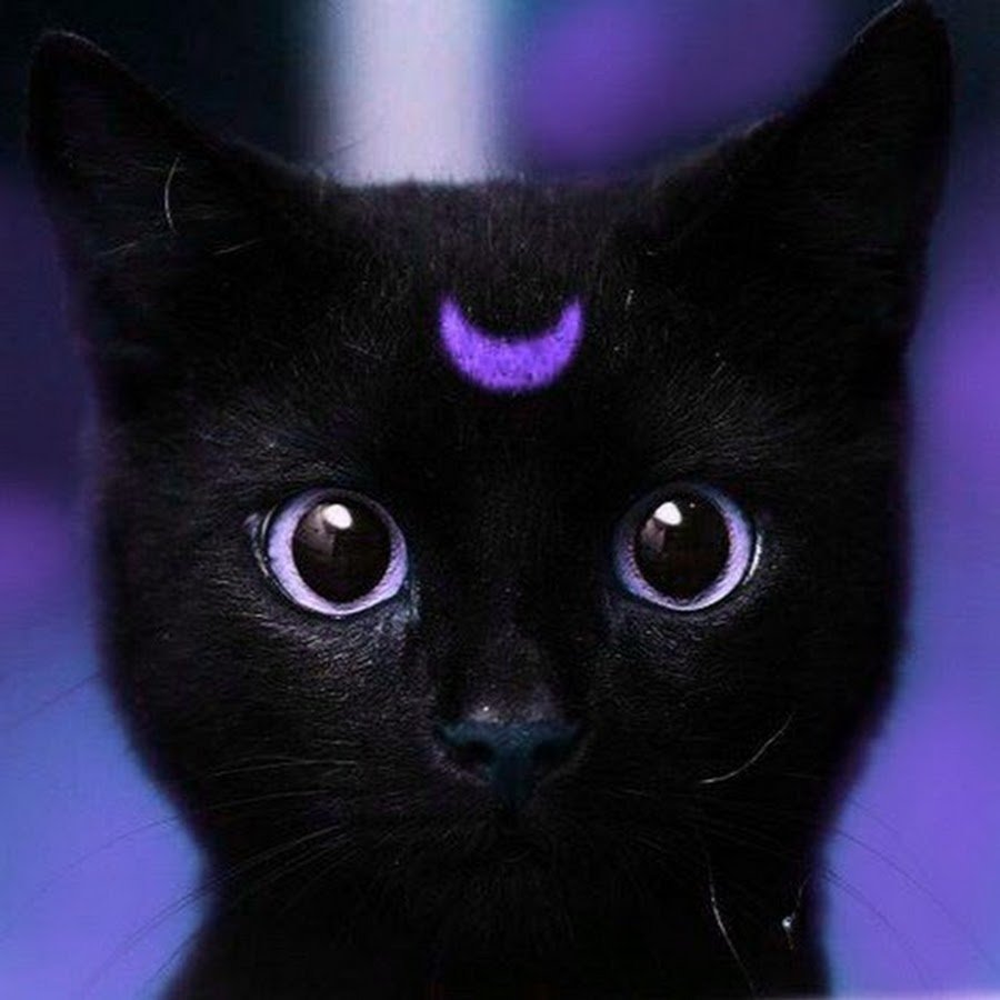 Мария манашкина