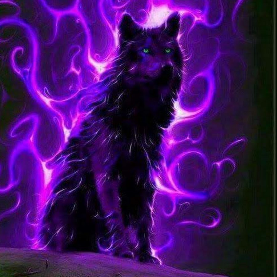 Магические коты