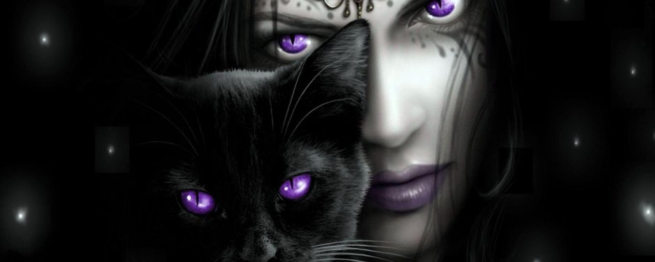 Кошка с фиолетовыми глазами