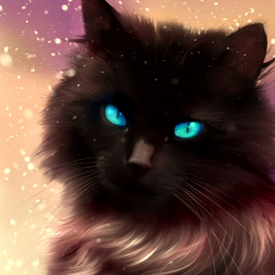 Шантильи Тиффани кошка