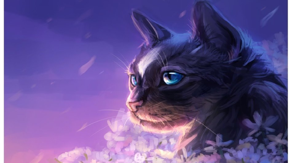 Драган Билл котик фиолетовый