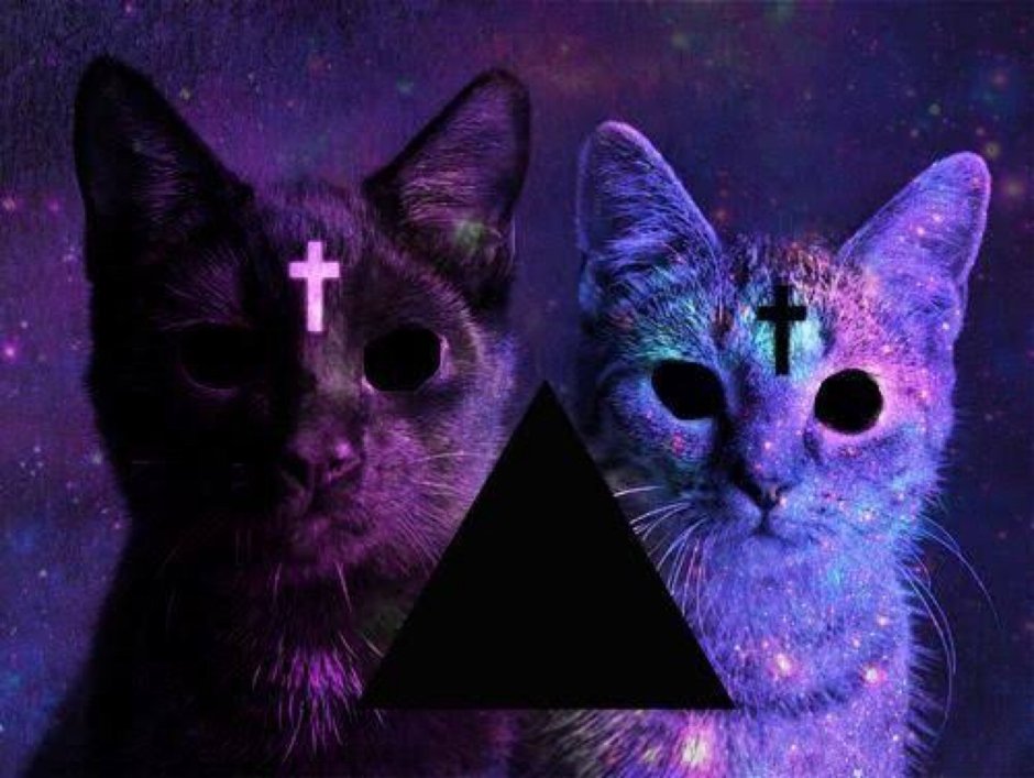 Фиолетовый кот