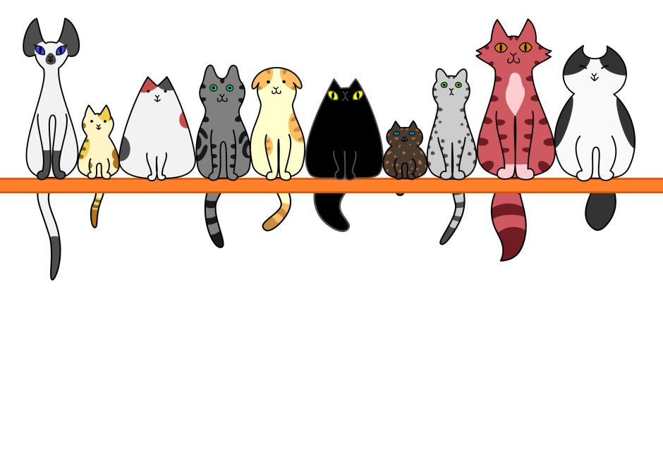 Кошки сидят в ряд
