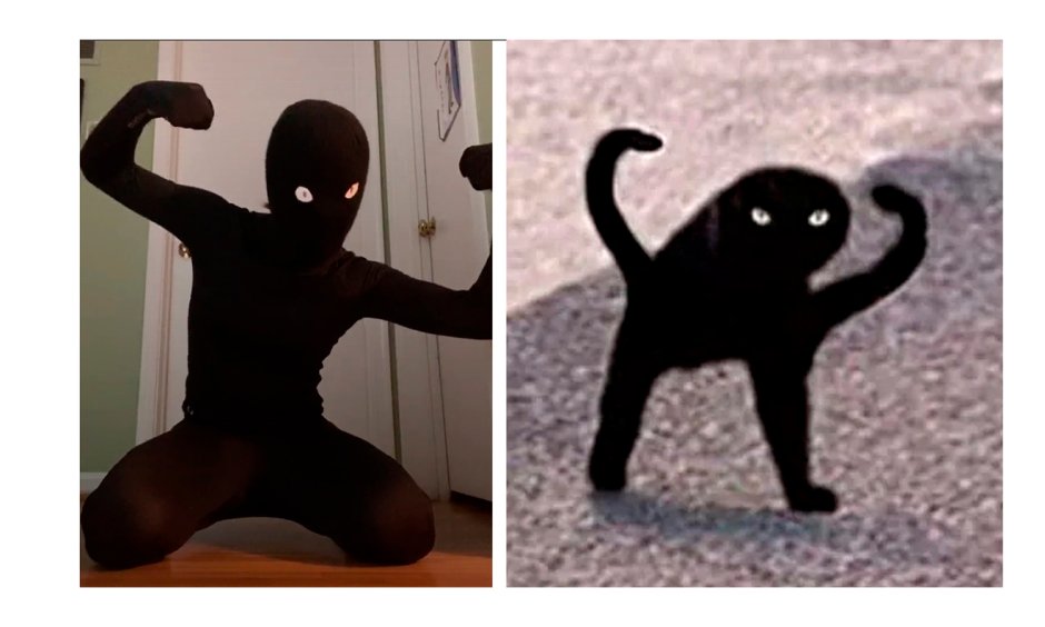Черные коты мемы