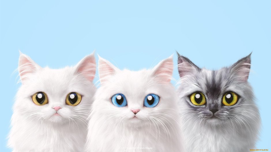 Обои с котиками
