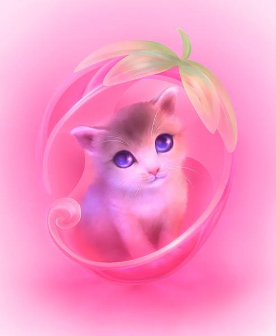 Котята на розовом фоне