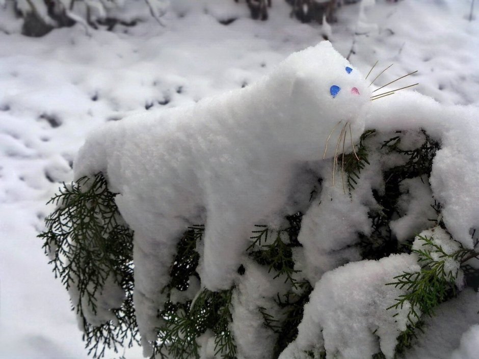 Кот Снеговик