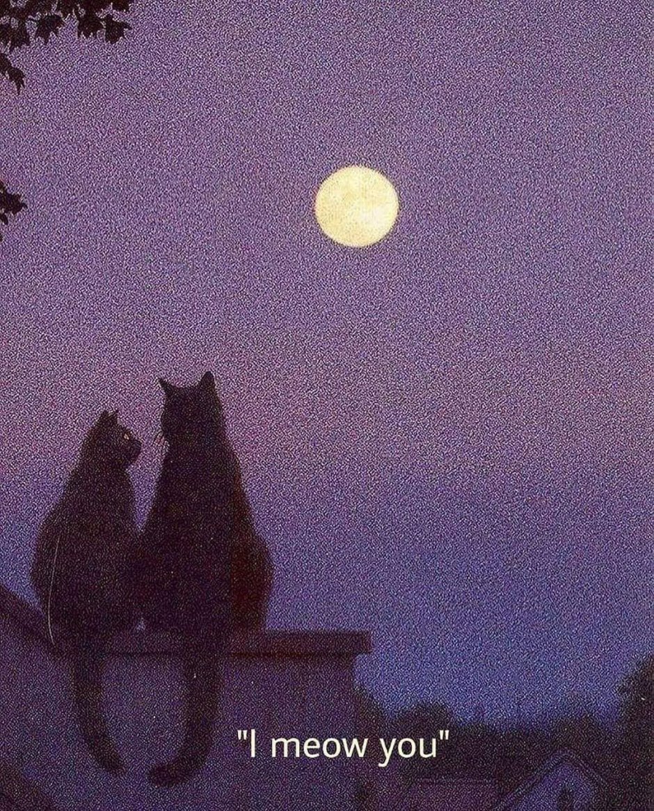 Эстетика с котами