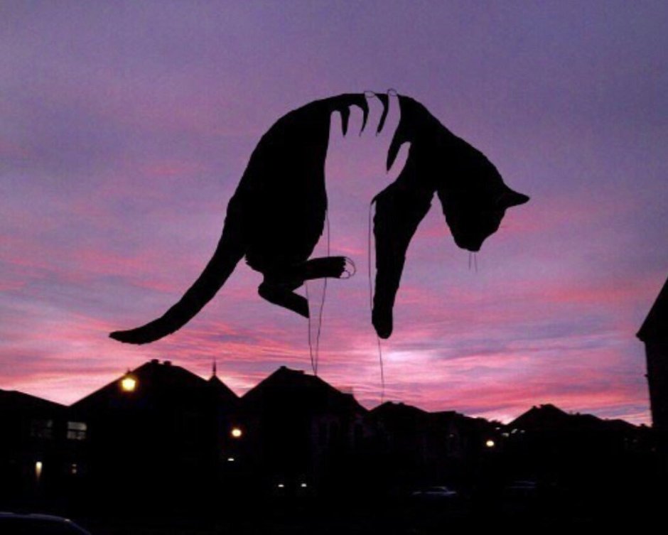 Котики Эстетика