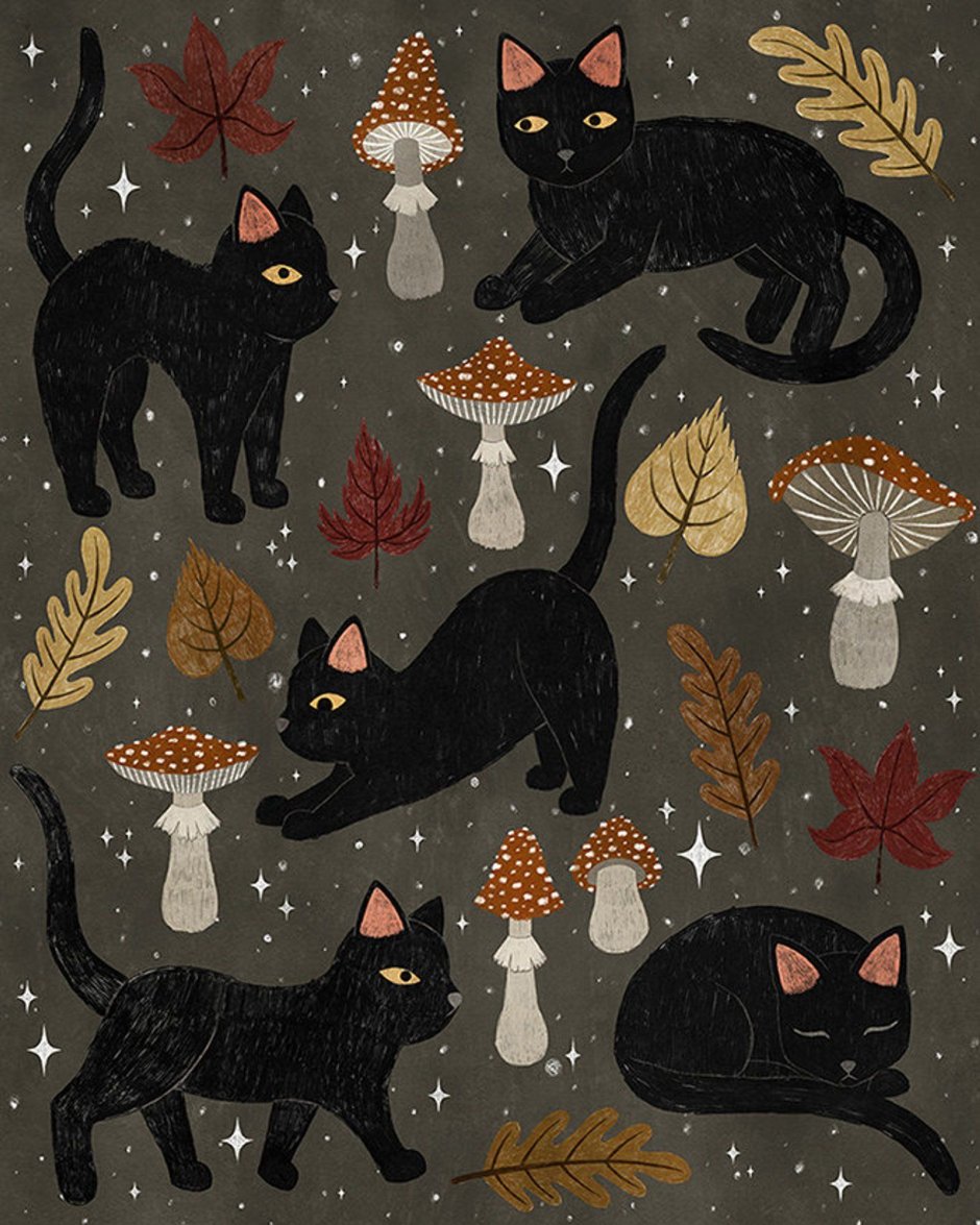 Чёрная кошка Эстетика