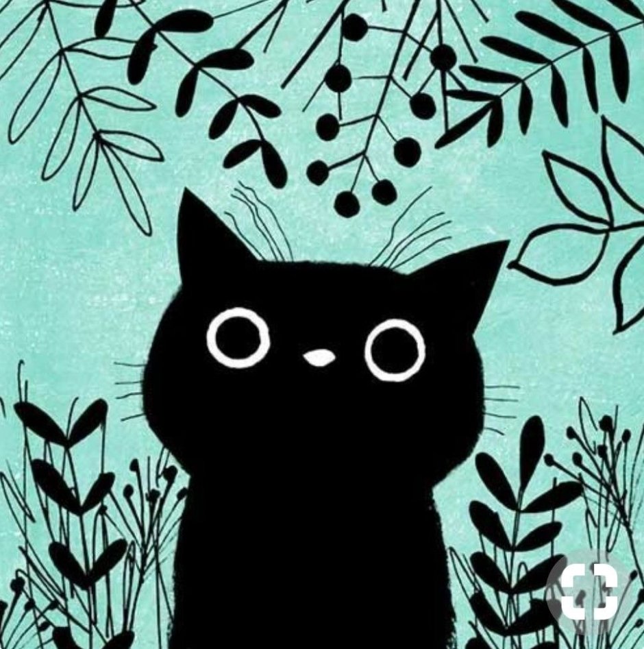 Коты и книги Эстетика