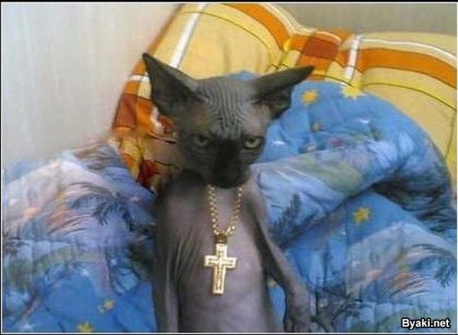 Сфинкс с цепью