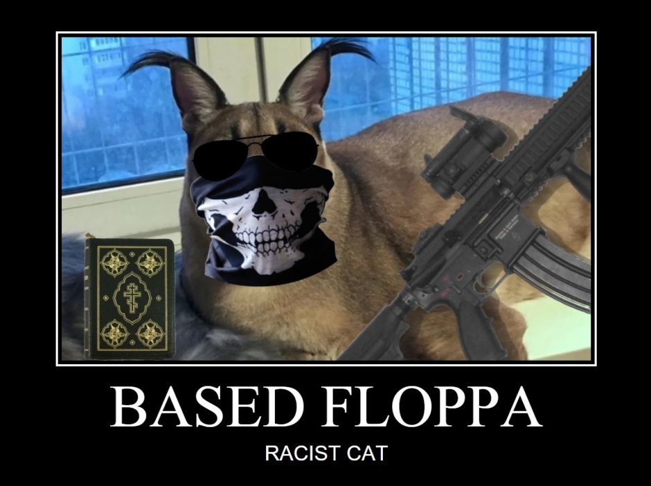 Шлепа военный кот