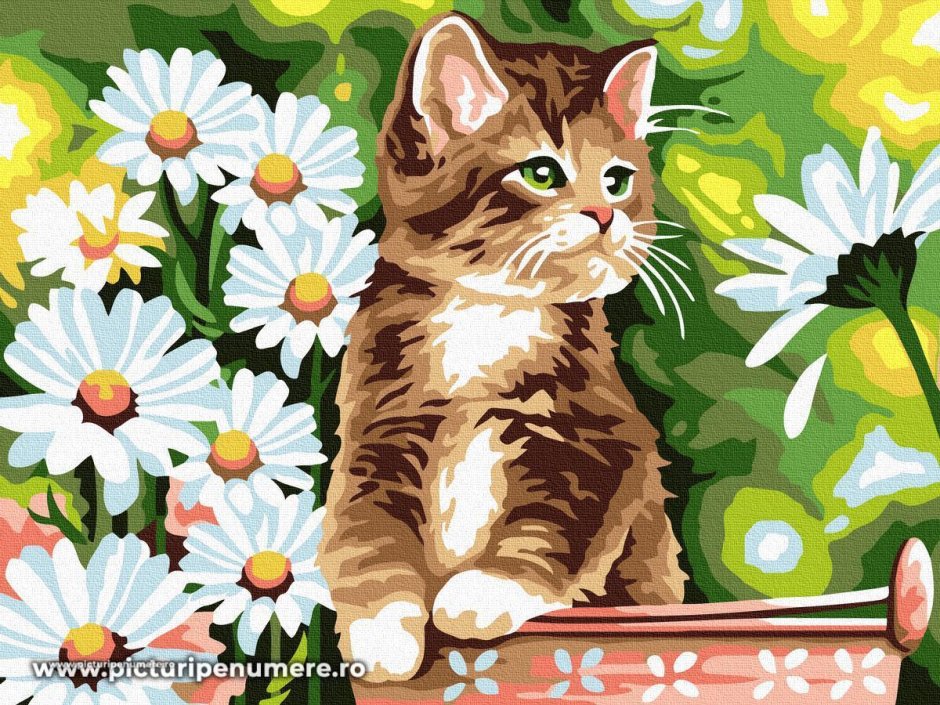 Рисование по номерам котенок