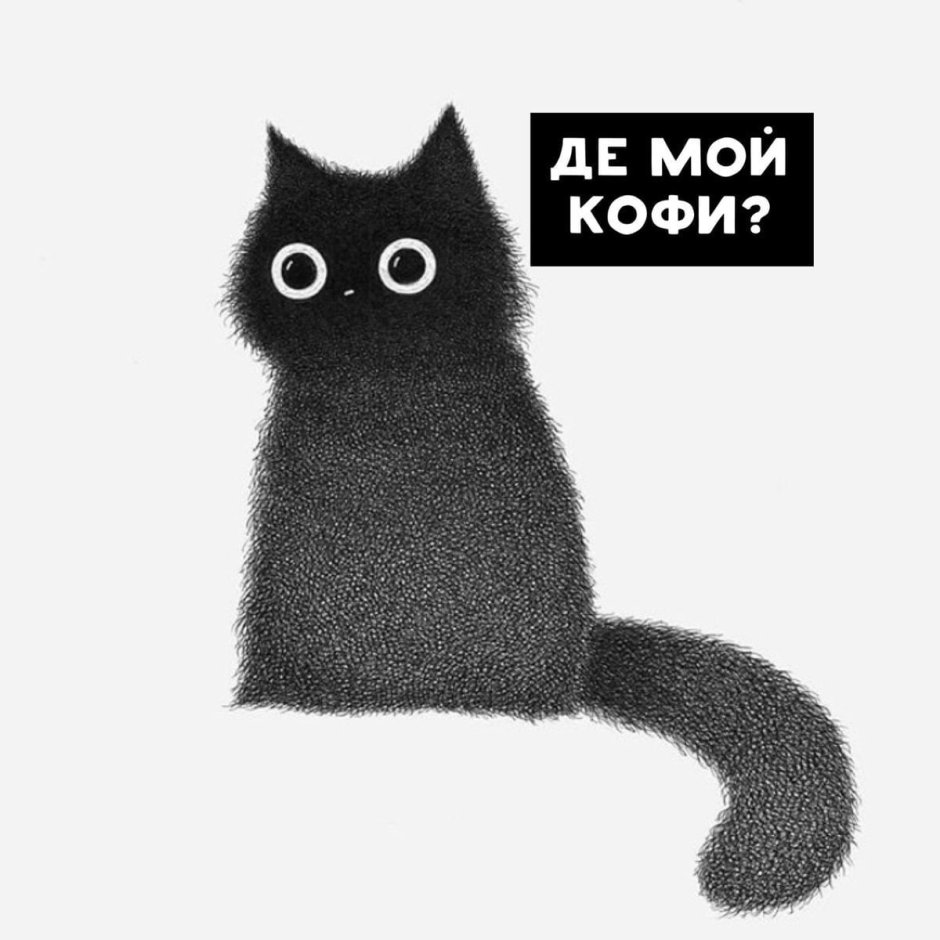 Мемы про кофе и котов