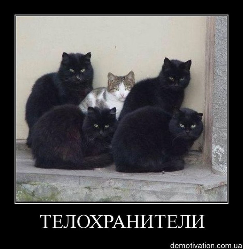 Девушка с кошачьей головой