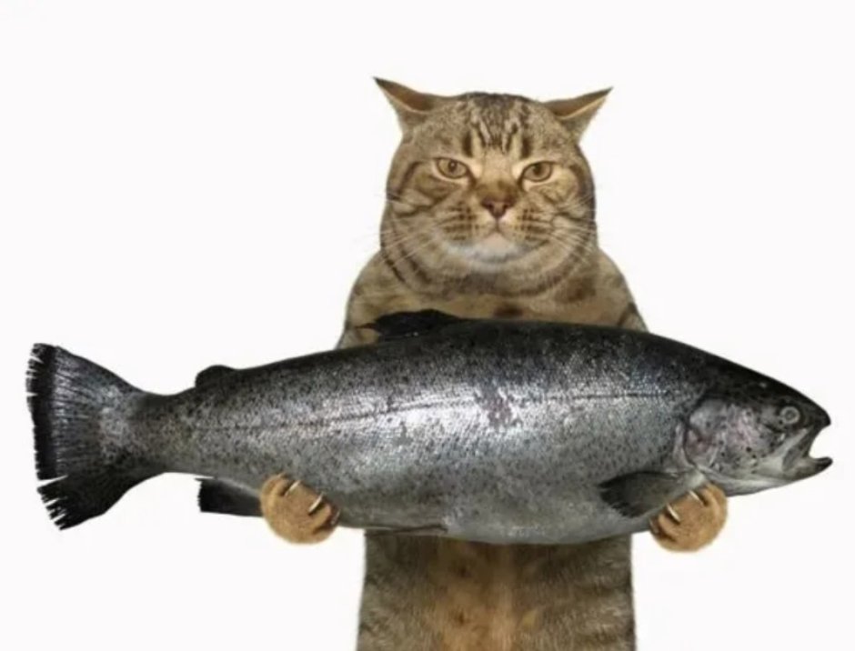 Котик с рыбкой во рту