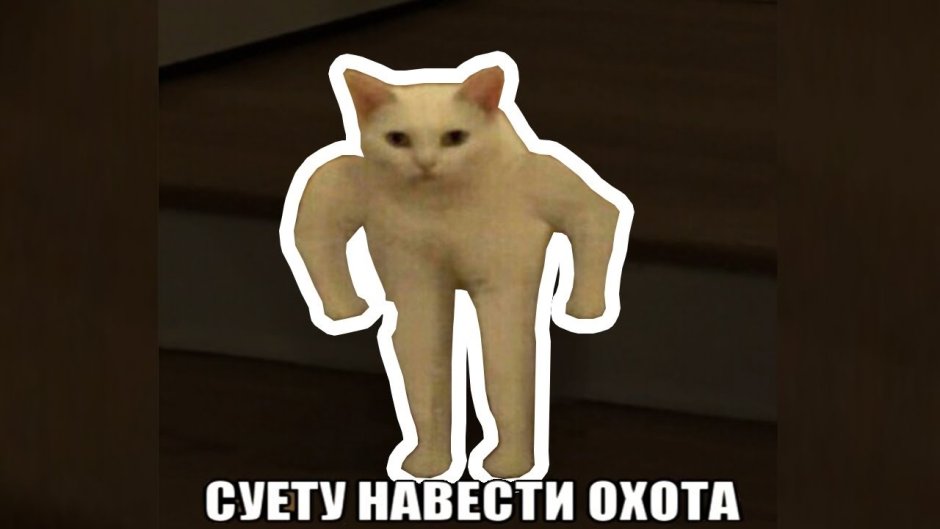 Я почти засмеялся