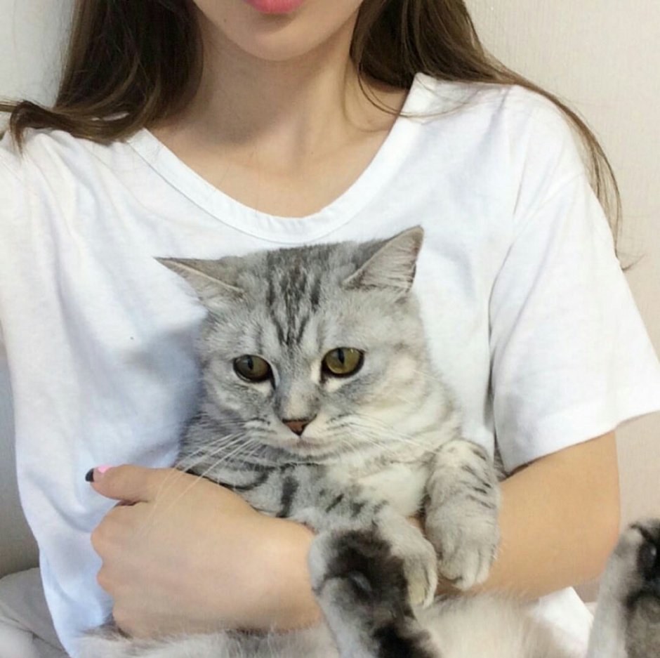 Белый кот Мем