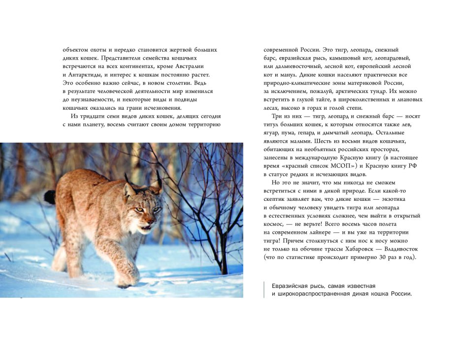 Книги о дикой природе