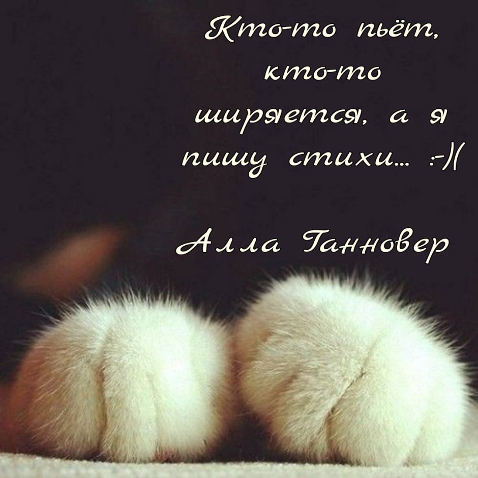 Пушистые лапки