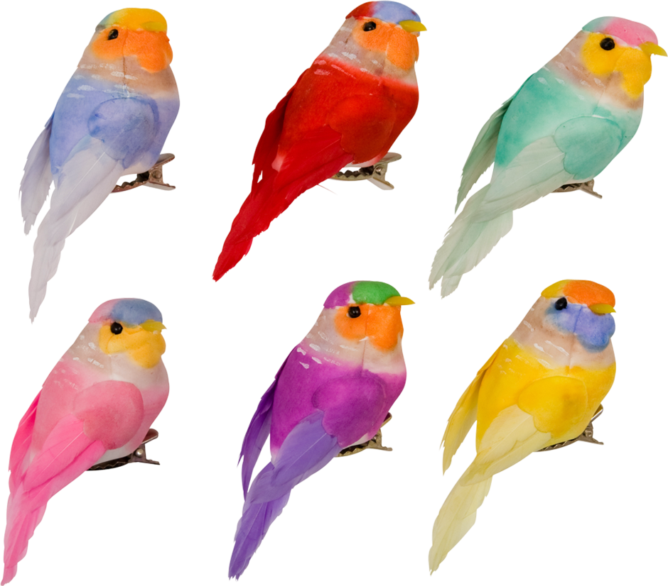 Зунзинито птичка