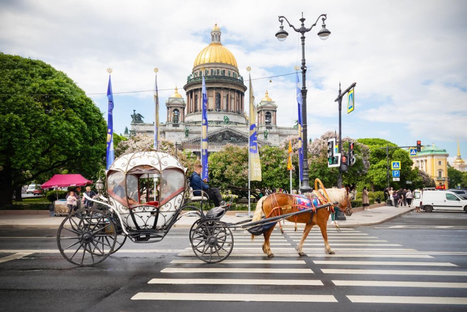 Карета с лошадью