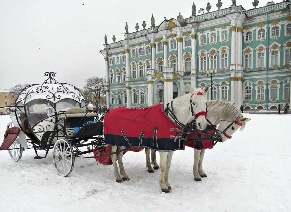 Карета с лошадью настоящая