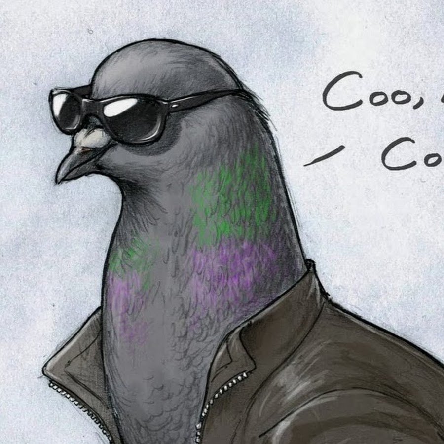 Шутки про гравитацию