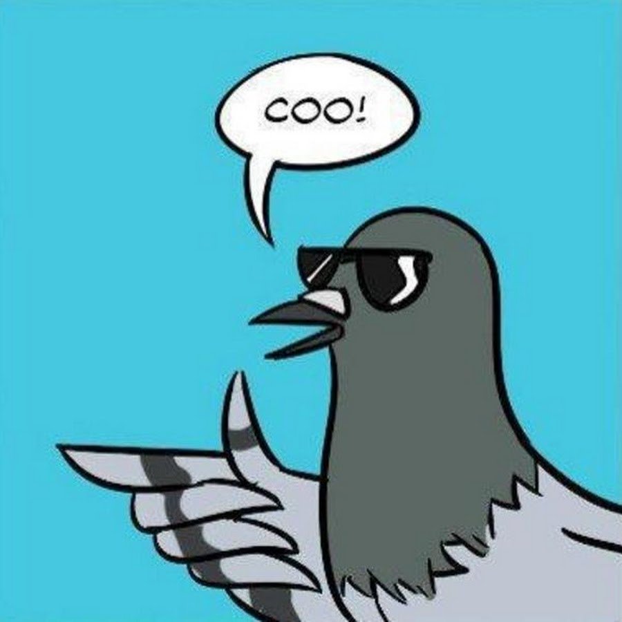 Милый голубь