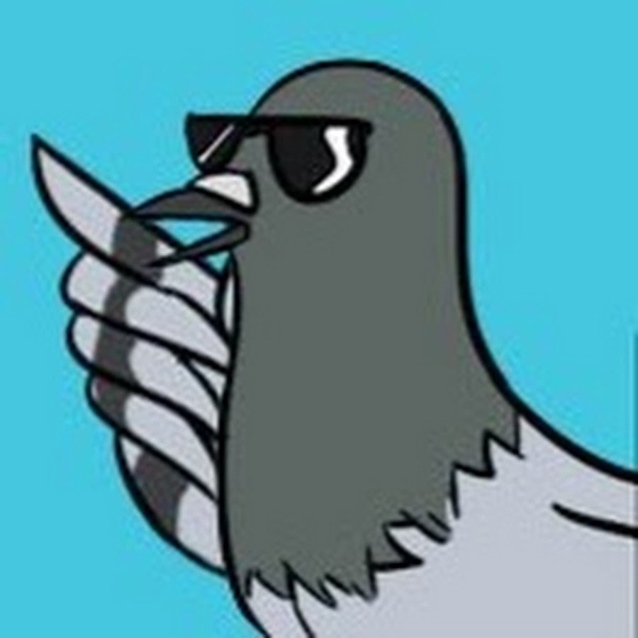 Голубь в кепке