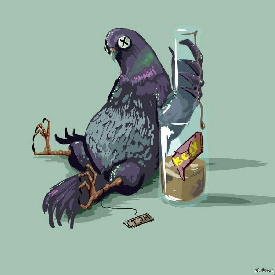 Дмитрий голубь