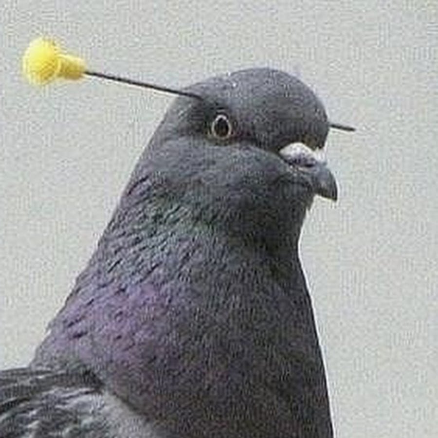 Важная птица