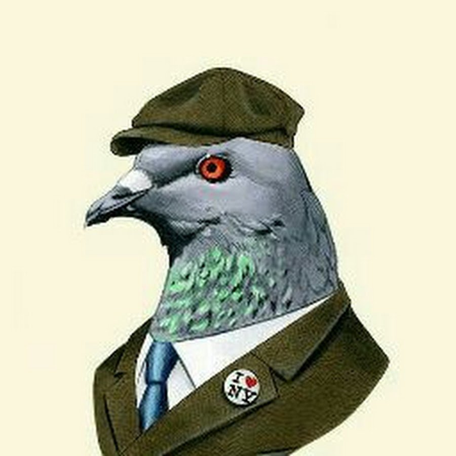 Голубь нарисованный смешной