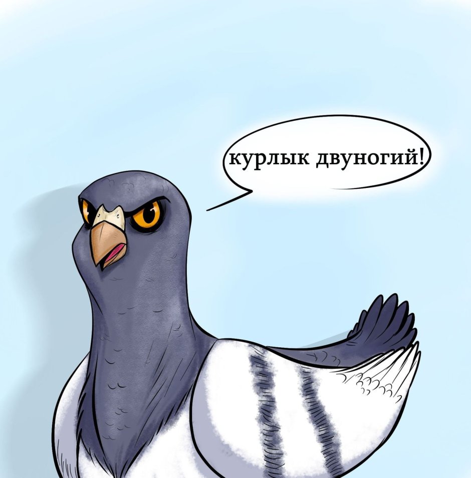 Голубь Михаил Стикеры ВК