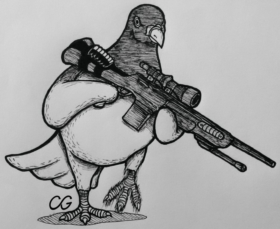 Голуби качки