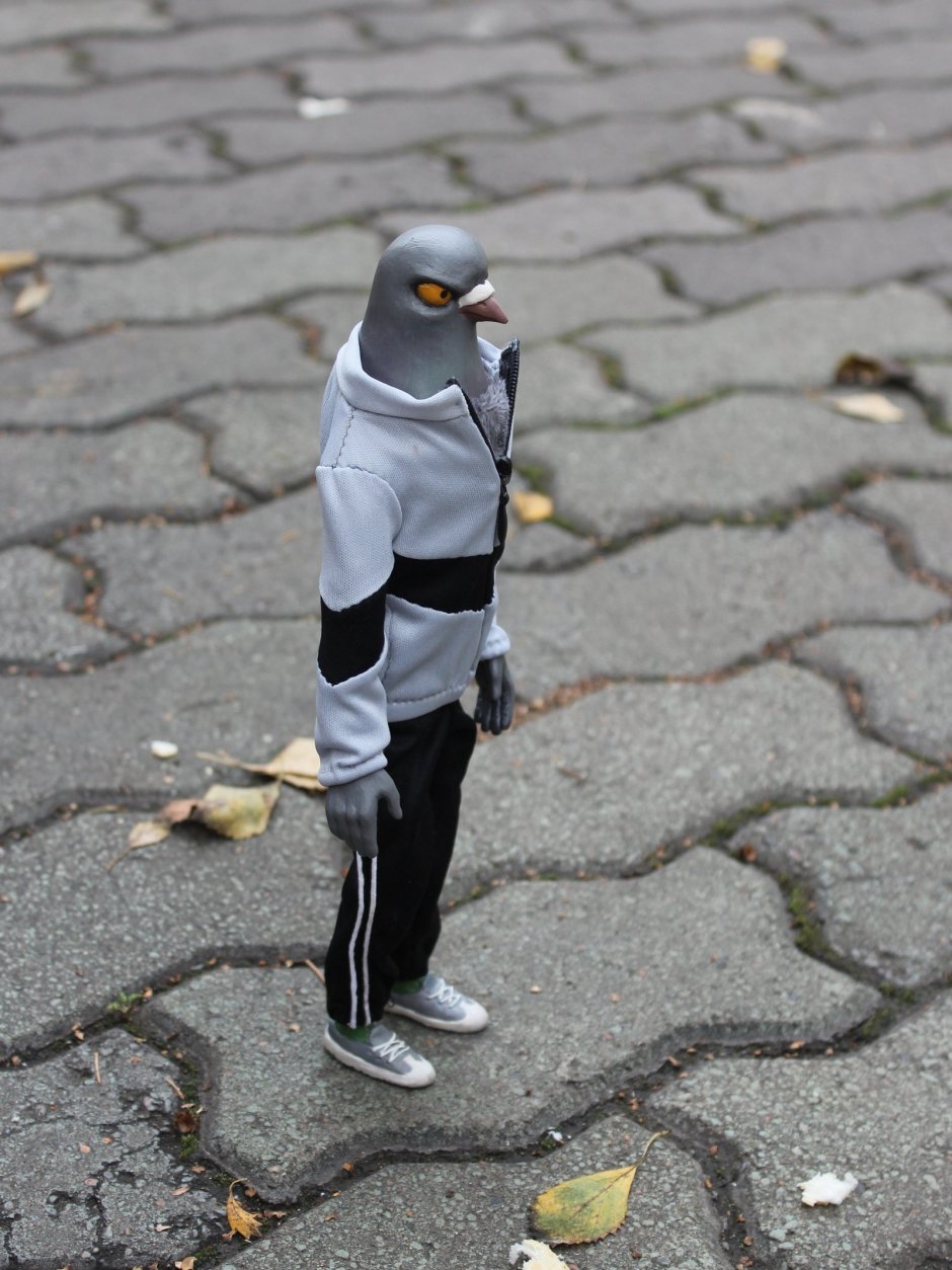 Курящий голубь