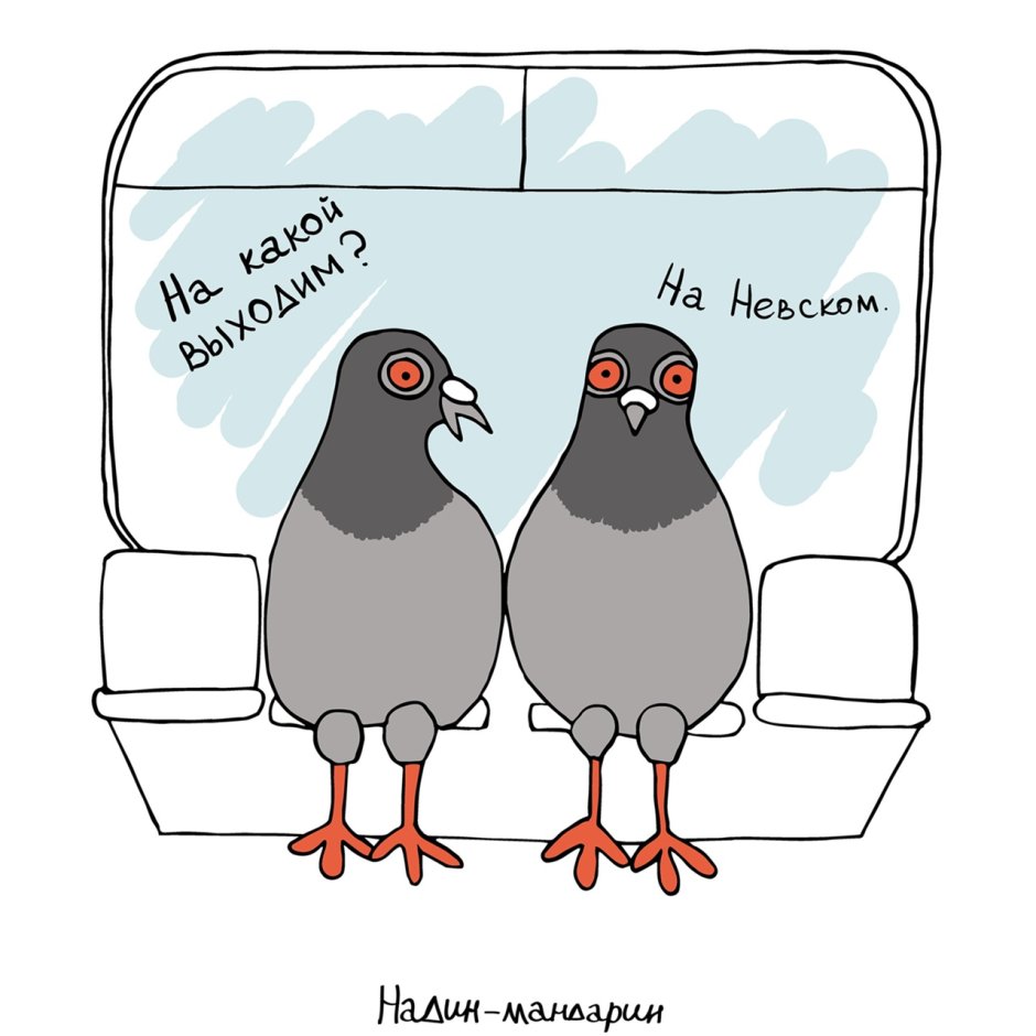 Танцующий голубь