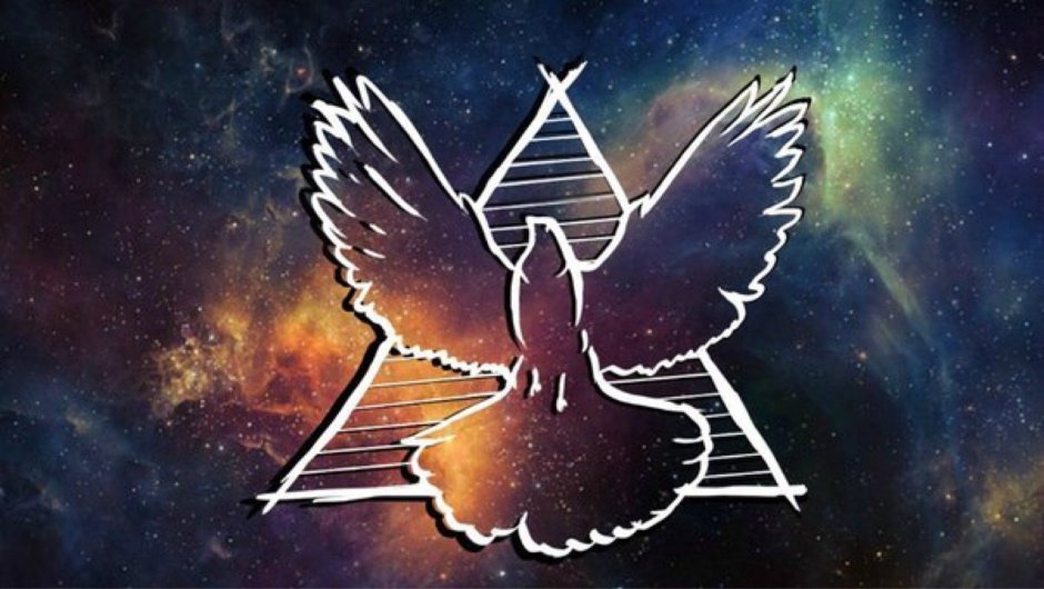 Если бы у голубя были глаза спереди