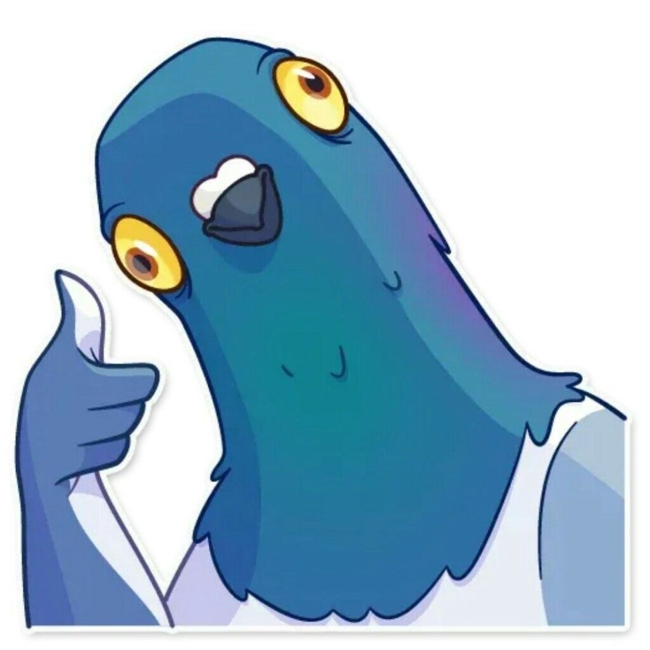 Голубь террорист