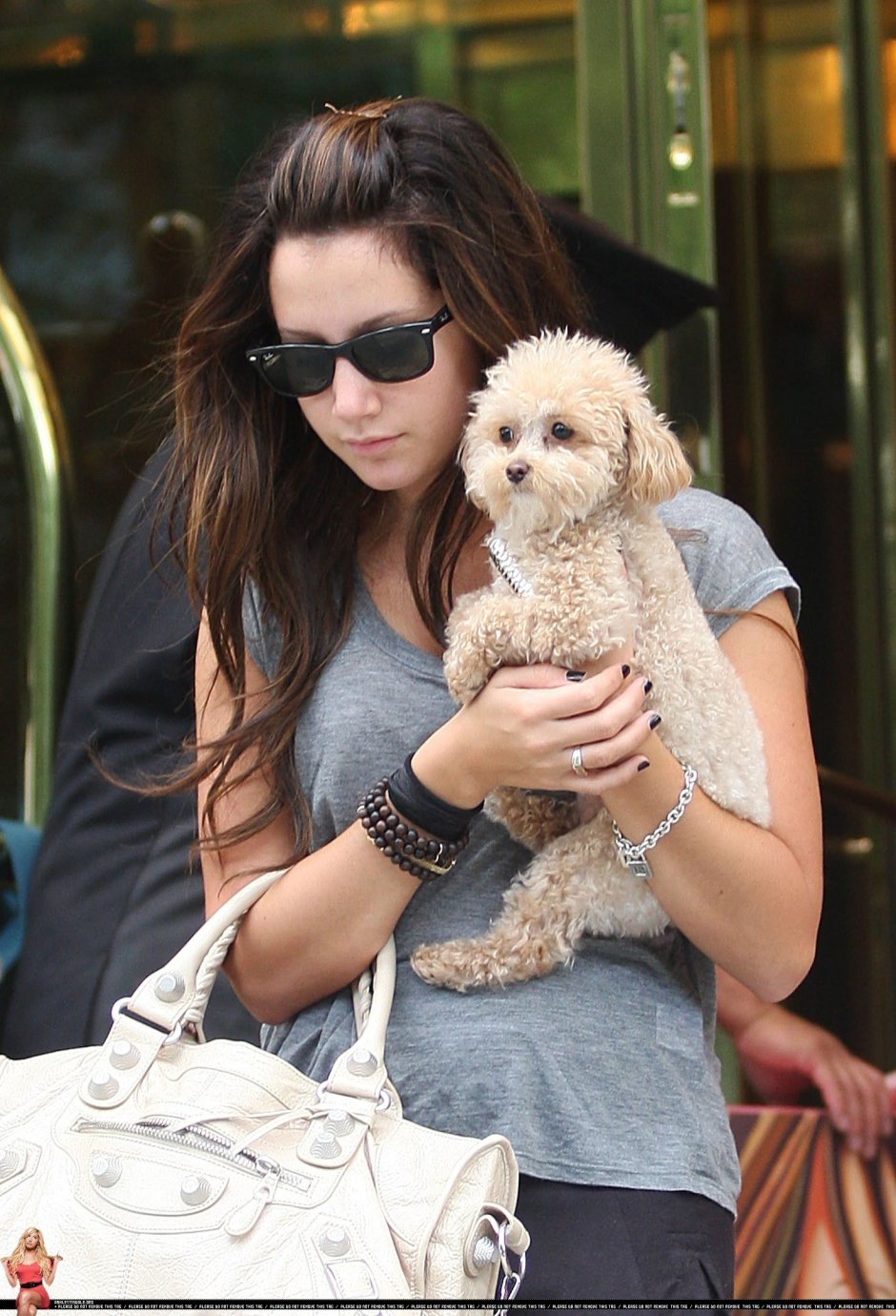 Модные мальтипу в одежде