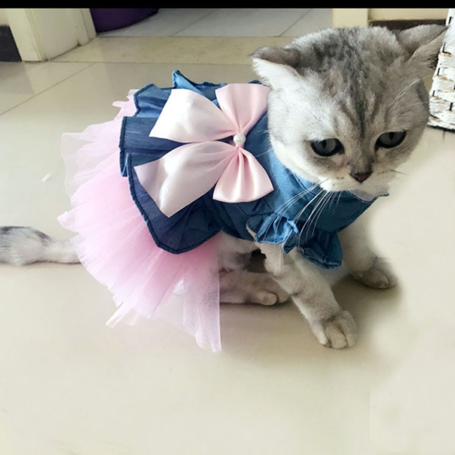 Нарядное платье для кошки