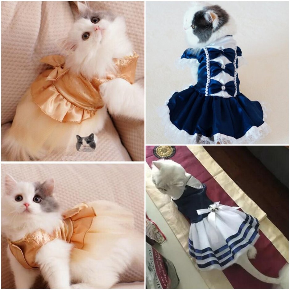 Одежда для кошек платья